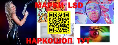 стафф Дубна