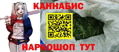 стафф Дубна