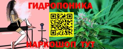 стафф Дубна