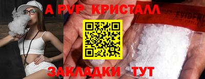стафф Дубна