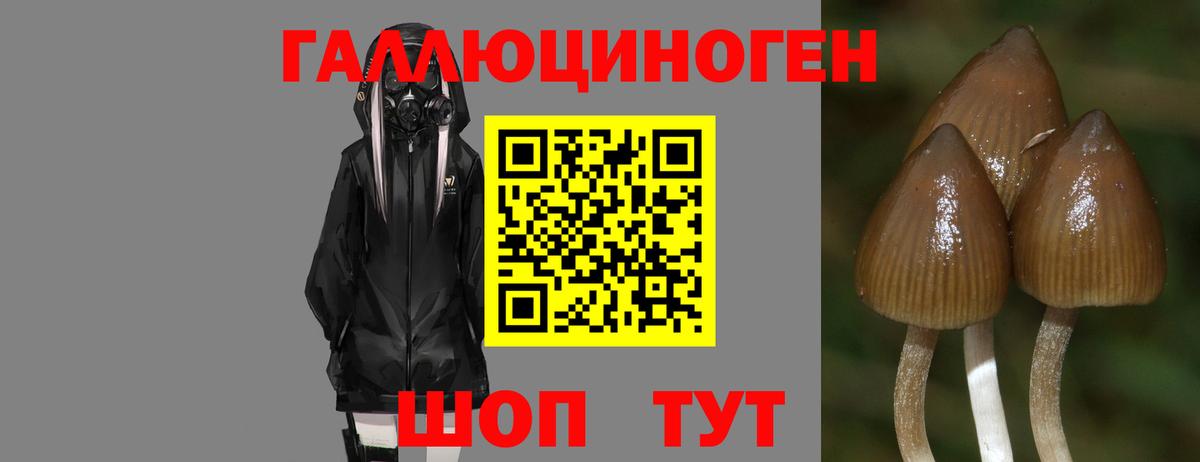 Галлюциногенные грибы мицелий  Вход с VPN  Канск 